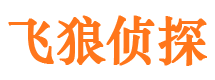 莘县外遇出轨调查取证